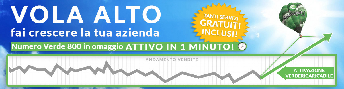 Vola alto, fai crescere la tua azienda con Verde Ricaricabile .it